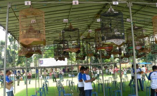 Image Result For Pulsa Murah Di Lawang Image Result For Pulsa Murah Di Lawang