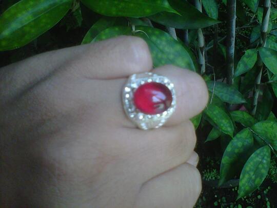 ۩۩۩ Sarana Syariat untuk kehidupan ۩۩۩