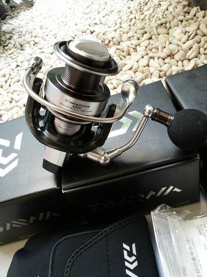 daiwa catalina 4000