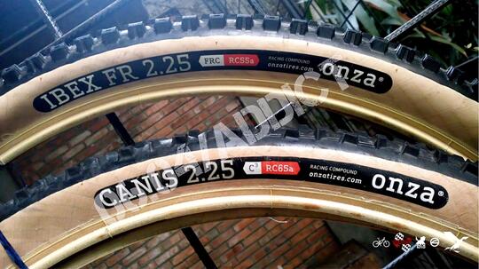 onza canis 26