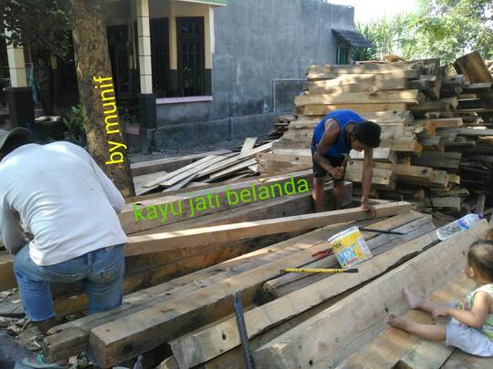 Terjual kayu pinus luar negeri/jati belanda triplek bekas 