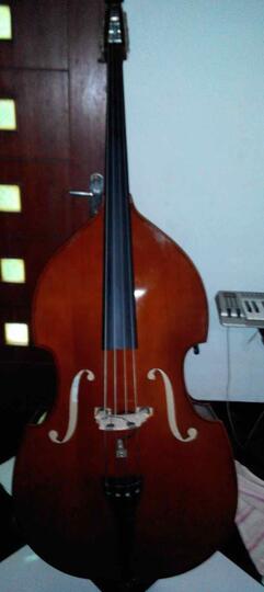 hofner upright bass