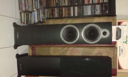 wharfedale crystal 30.5
