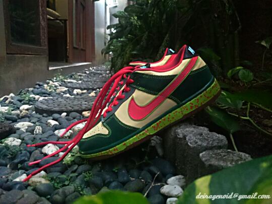 nike sb dunk low mosquito