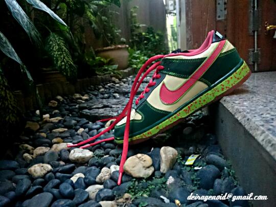 nike sb dunk low mosquito