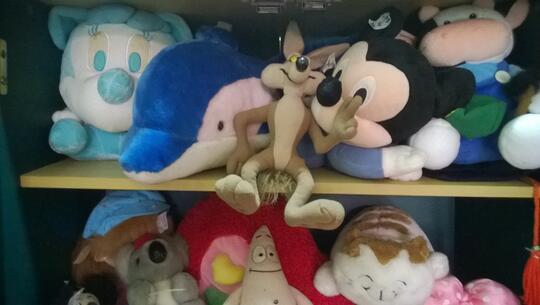 Jual Garage Sale Macam-macam Boneka dari koleksi saudari kondisi ok Murah.