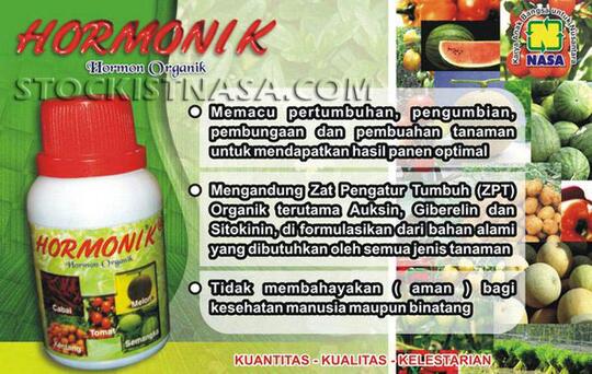 Teknik Budidaya Ternak Ayam Kampung