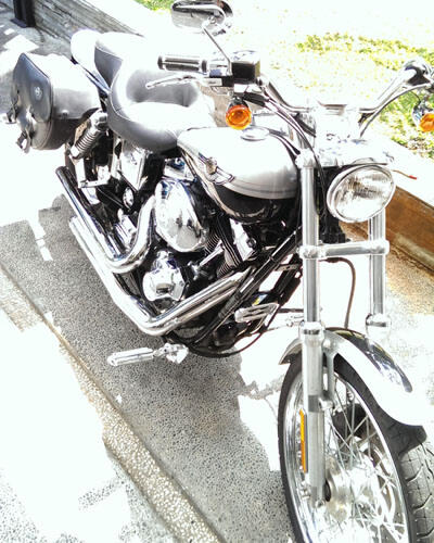 Harley Davidson DYNA 2003 Anniversary silver