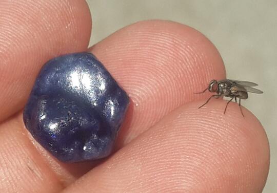 LELANG KERIKIL PT 97 (ROUGH SAFIR, SWISS BLUE TOPAZ, TAPAK JALAK, DLL)