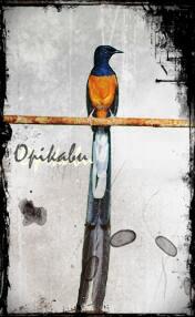 Balasan Dari Murai Batu Mania Kumpul Dimari Kaskus