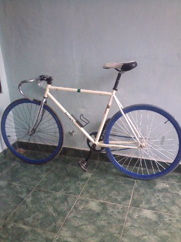 WTS Fullbike Fixed Gear Brain Second