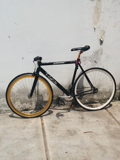 pcolite fixed gear