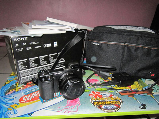 mirrorless sony nex6