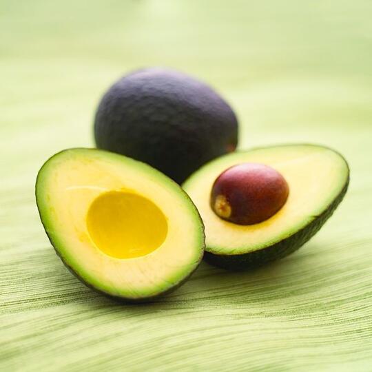 Ternyata Nggak Semua Makanan Boleh Dimasukin Ke Kulkas Lho!