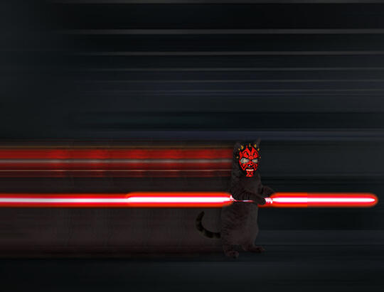 Kucing Numpang Lewat - Episode Star Wars (Komik Sotosop Full Picture)