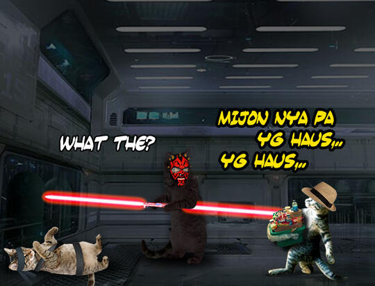 Kucing Numpang Lewat - Episode Star Wars (Komik Sotosop Full Picture)