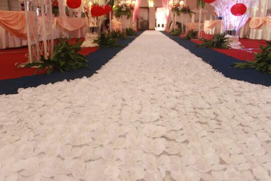 Disewakan Karpet Mawar Untuk Wedding/Pernikahan