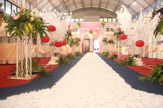 Disewakan Karpet Mawar Untuk Wedding/Pernikahan