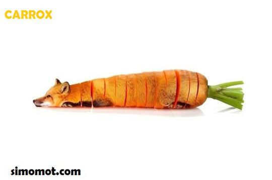 570 Koleksi Gambar Gambar Hewan Dan Buah Terbaik
