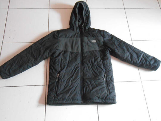 north face true false jacket