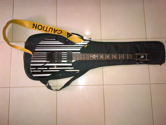 Gitar Schecter Diamond Series (synyster gates)