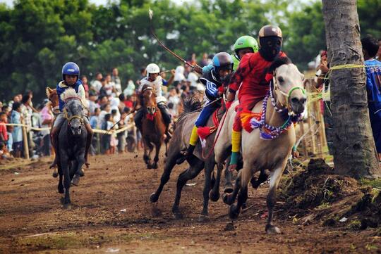 Fakta Menarik tentang Joki Cilik Pacuan Kuda Tradisional di Indonesia