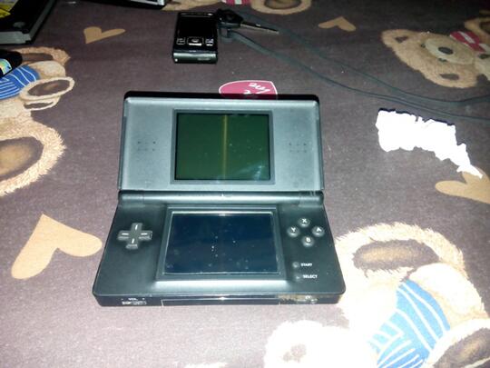 nintendo ds sd