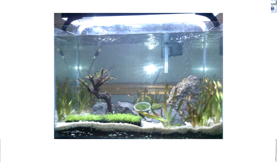 aquarium + perlengkapan aquascape murah 2nd