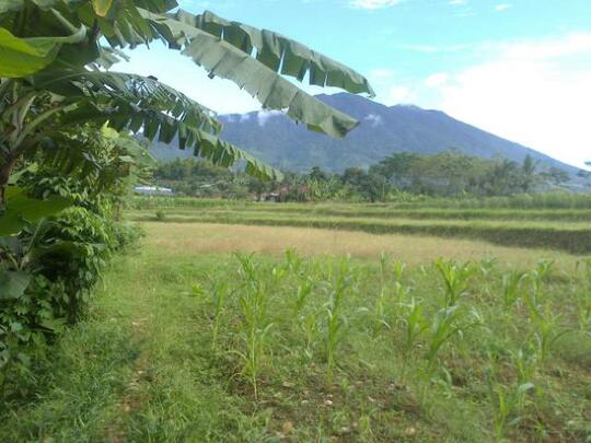 j> tanah 2,3 hektar sukabumi