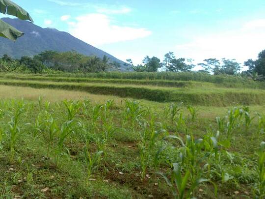 j> tanah 2,3 hektar sukabumi