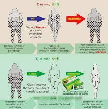 Minuman Herbal Avail Greenfit lebih MURAH dari harga resmi (official trusted seller)