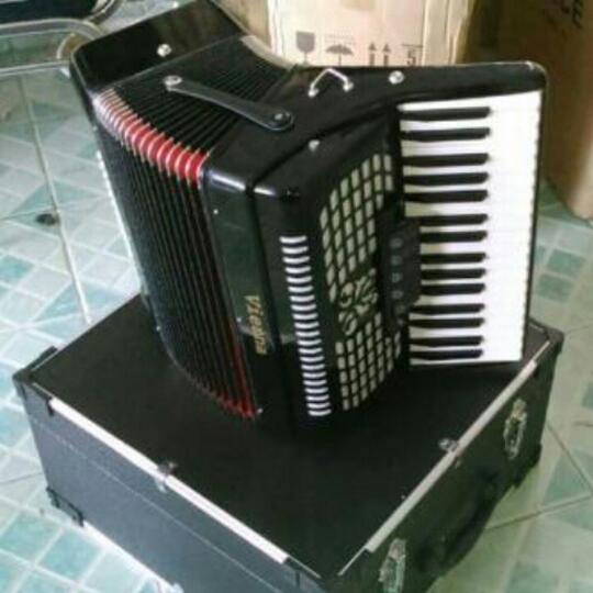 Jual Accordion merk vienna with hardcase