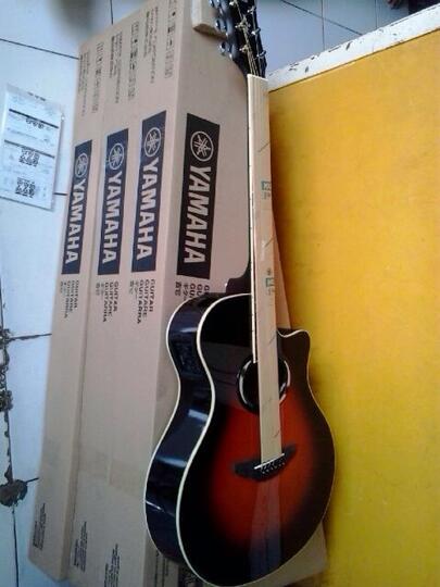 sale apx II 500 dan silent guitar SLG 110