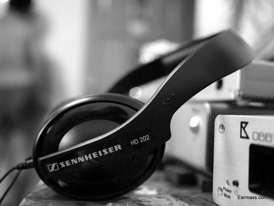 Headphone HD202ii