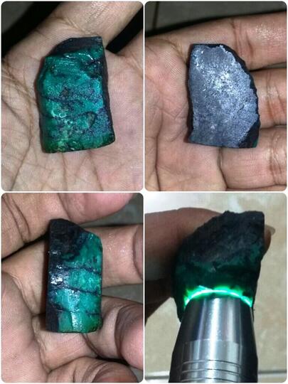 rough bacan murah kembali lagi harga di bawah lelang