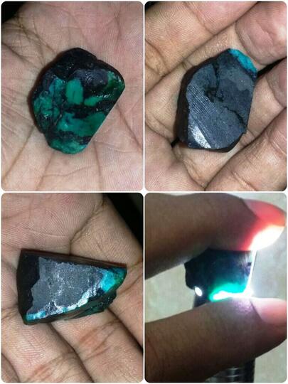 rough bacan murah kembali lagi harga di bawah lelang