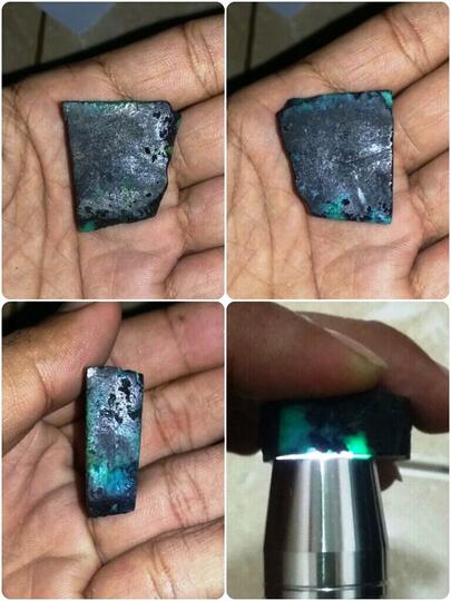 rough bacan murah kembali lagi harga di bawah lelang