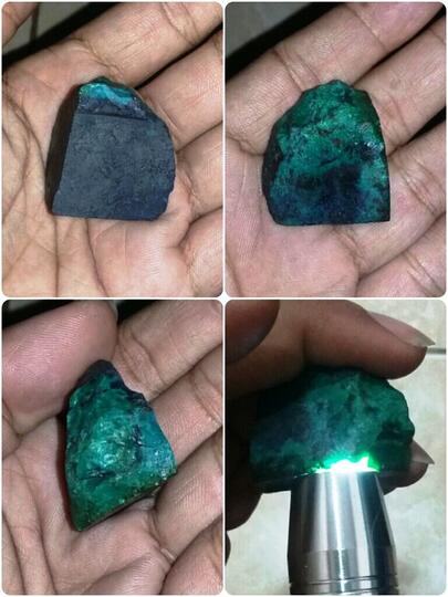 rough bacan murah kembali lagi harga di bawah lelang
