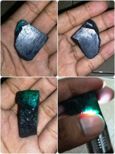 rough bacan murah kembali lagi harga di bawah lelang