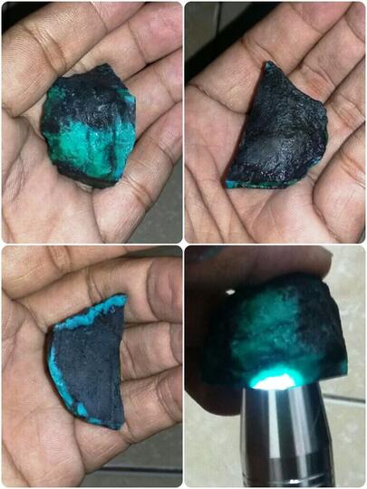 rough bacan murah kembali lagi harga di bawah lelang