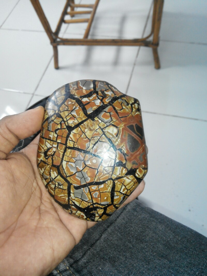 Batu akik kura-kura Enrekang