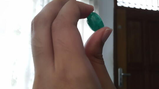 Bacan Palamea Ploong