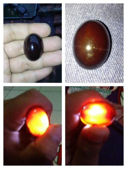 YAHMAN WULUNG / KECUBUNG TANAH BIG SIZE