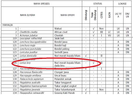 Burung Paruh Bengkok Ii Page 381 Kaskus