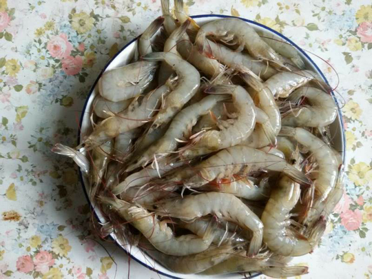 Ikan, Lobster, Cumi-Cumi, Udang dan Gurita Yogyakarta