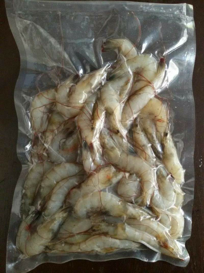 Ikan, Lobster, Cumi-Cumi, Udang dan Gurita Yogyakarta