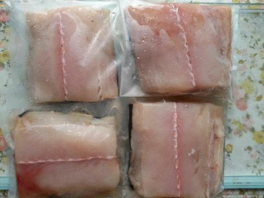 Ikan, Lobster, Cumi-Cumi, Udang dan Gurita Yogyakarta