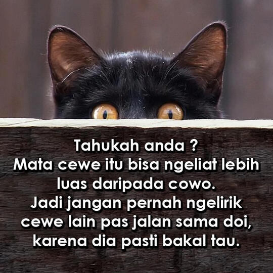 Mang mata cewe bisa liat lebih luas daripada cowo ya ?