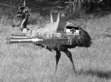 Perang Emu Raya Kaskus