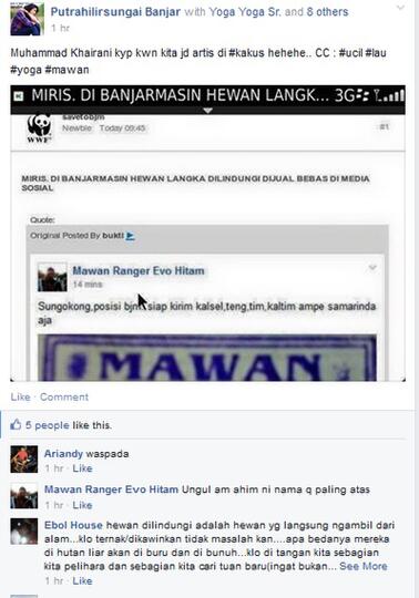 MIRIS. DI BANJARMASIN HEWAN LANGKA DILINDUNGI DIJUAL BEBAS DI MEDIA SOSIAL